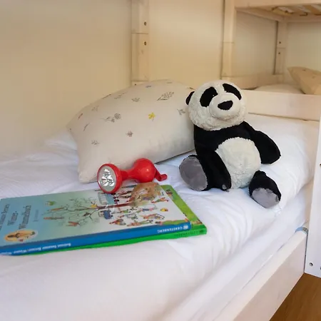 Saentis Apartment Wildhaus