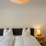 Apartment Saentis *